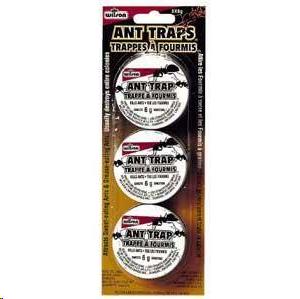ANT TRAP 3/CARD                  7303600