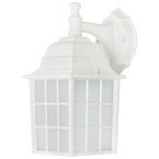 FROSTED GLASS EXTERIOR LIGHT WHITE IOL25WH