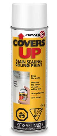 ZINNSER'S COVER UP - CEILING SPRAY PAINT 454G